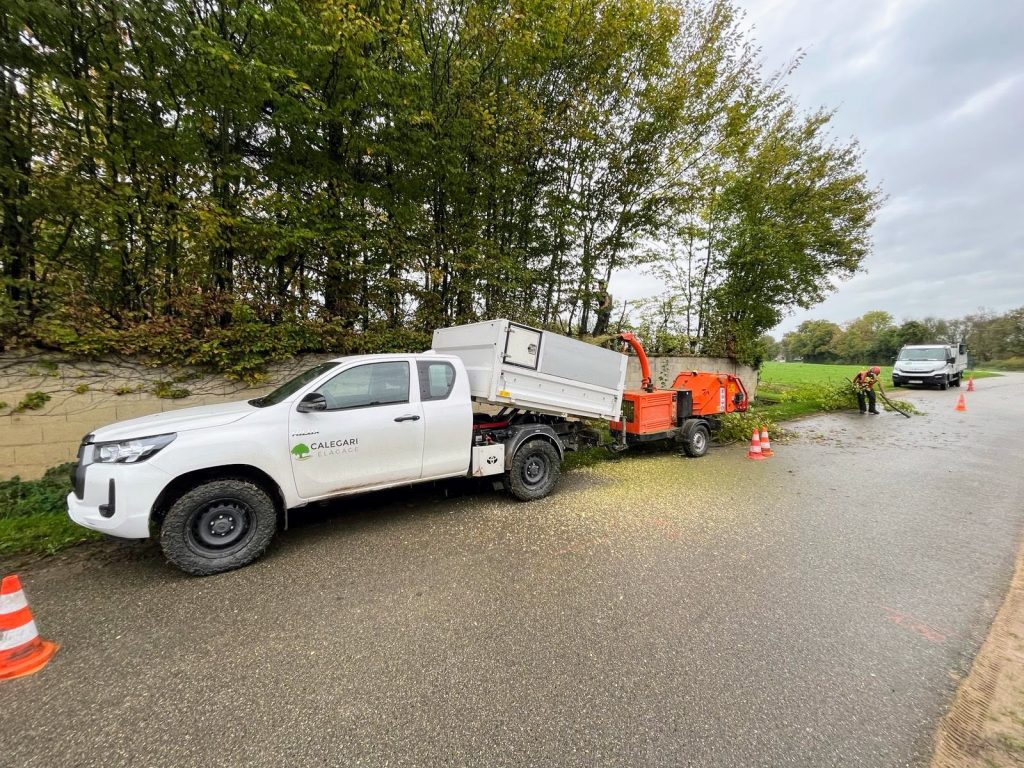 Taille d'une haie de charmille sur Chevroux