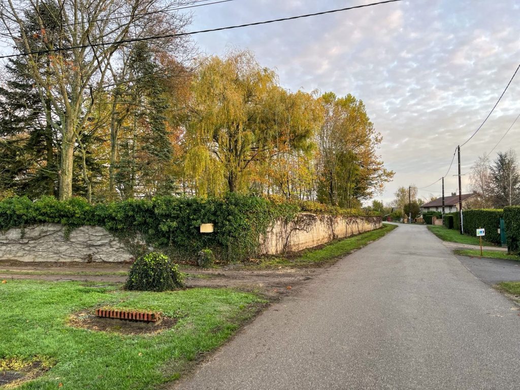 Taille d'une haie de charmille sur Chevroux